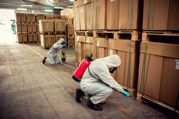 Best Pest Removal Services  in Bellingham, WA