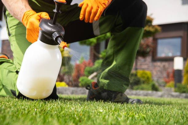 Best Mosquito Control Services  in Bellingham, WA