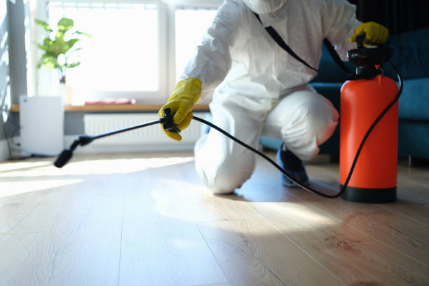 Trusted Bellingham, WA Pest Control Experts
