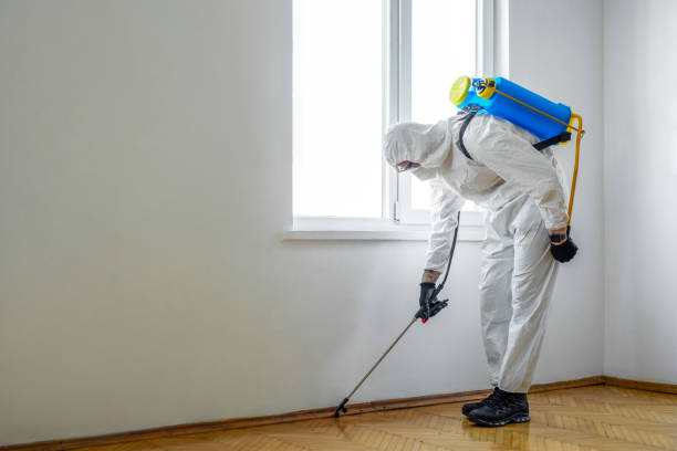 Best Best Pest Control Companies  in Bellingham, WA