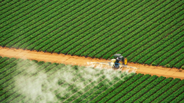 Best Mosquito Control Services  in Bellingham, WA