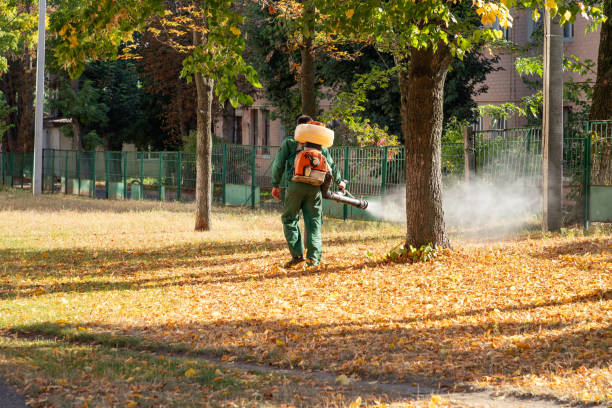 Best Spider Control Near Me  in Bellingham, WA