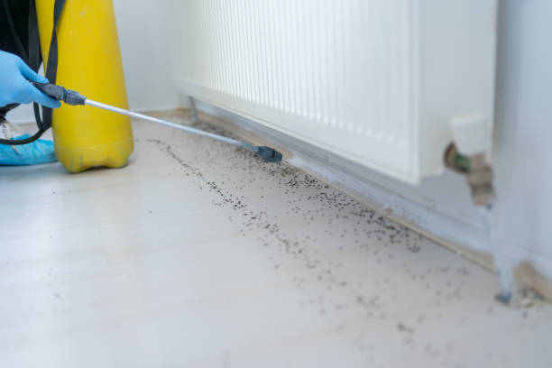 Best Commercial Pest Control Services  in Bellingham, WA